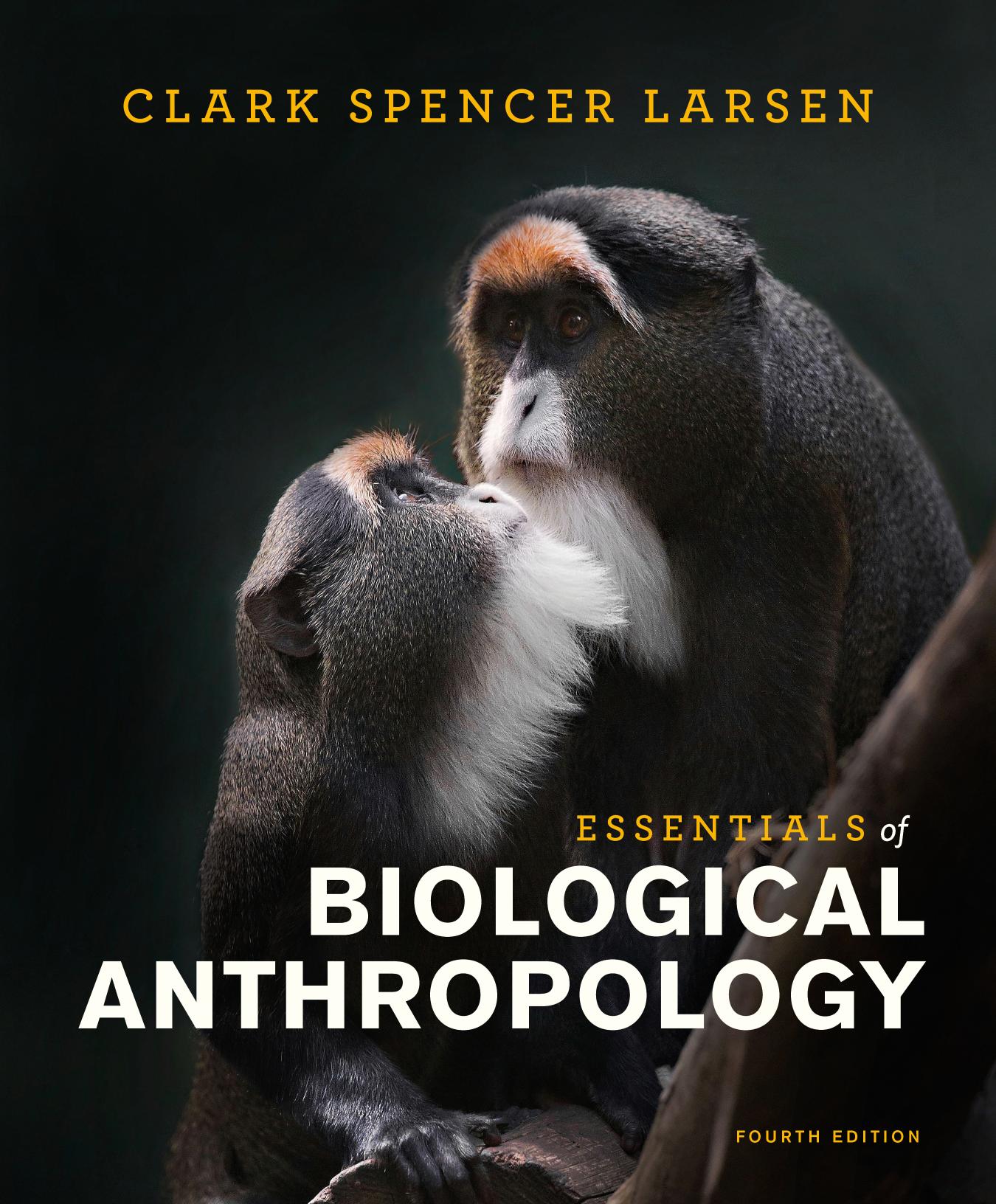 Essentials of Biological Anthropology (Fourth Edition)